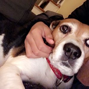 Meet your Posher, Katrina